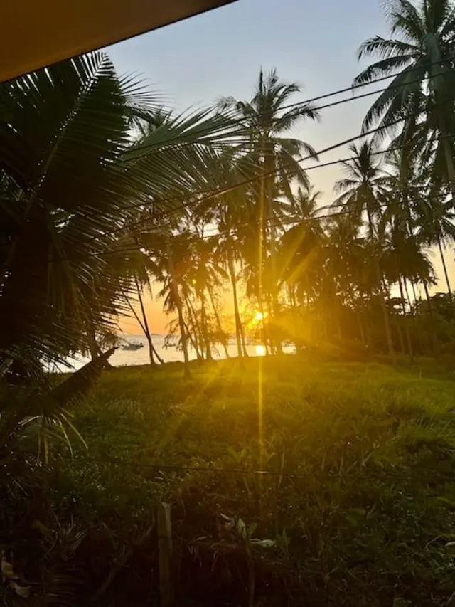 Sunset through the coconut palms, seen from the bungalow, Green Heaven Bungalows, Ang Thong, Koh Samui